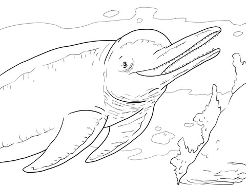 Amazon River Dolphin Boto Coloring Page